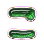 010