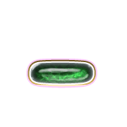 161