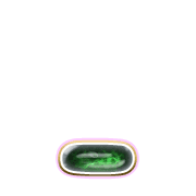 250