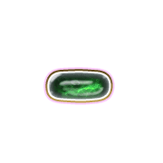 251