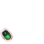 256