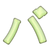 151
