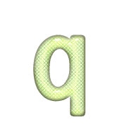 204