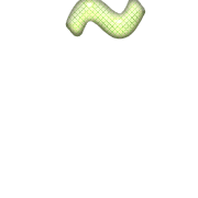 224