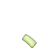 256