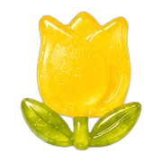 003