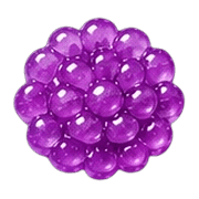 031
