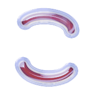 010