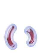 048