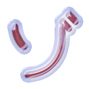 145