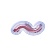 224