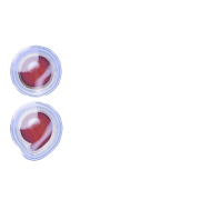 243