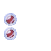 244