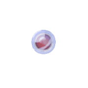 253