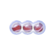 257