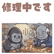 010