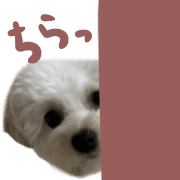 023