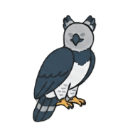 019