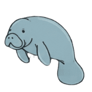 036