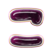 010