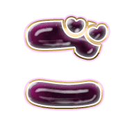 060