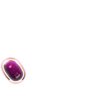 256