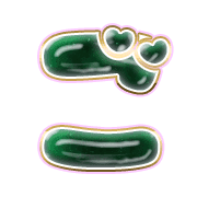 060