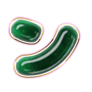 126