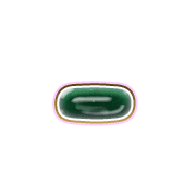 251