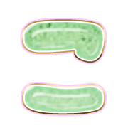 010