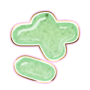 011