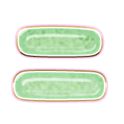 102