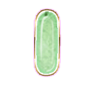 199
