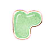 205