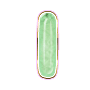 242