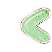 248