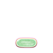 250