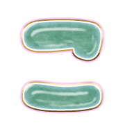 010