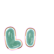 048