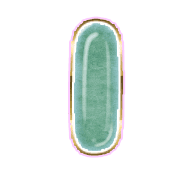 199