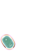256