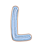 173