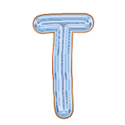 181