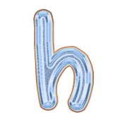 195