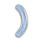 235