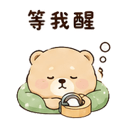 膠帶熊｜催促不兇 – LINE表情貼 預覽 12