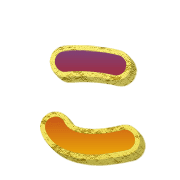 010