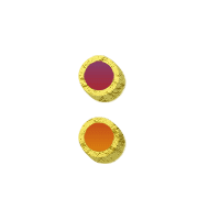 244