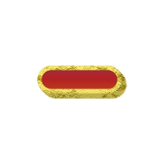 251