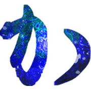 006
